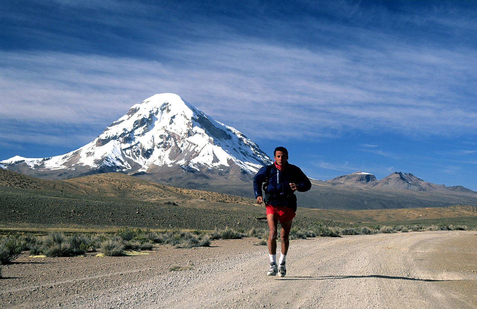 Bolivie Sur laltiplano avec le volcan Sajama