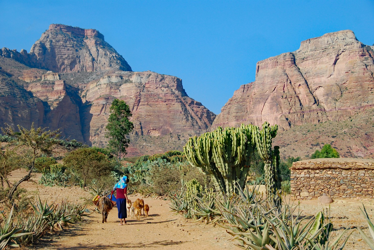 ethiopie (2)