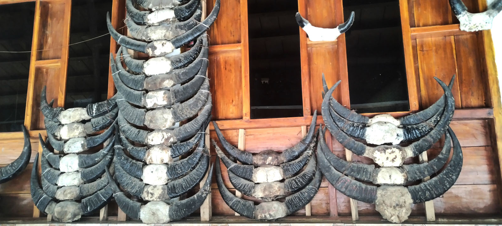 IMG 20241124 121359 edit 809466835032097