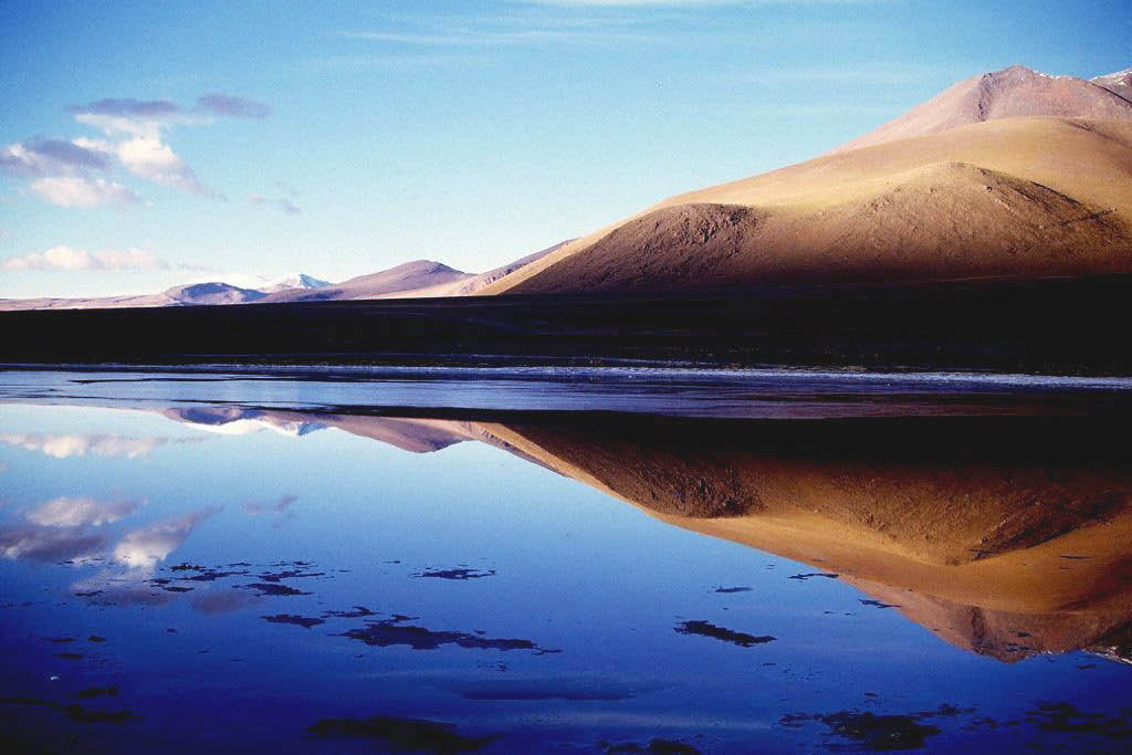 bolivie laguna colorada 