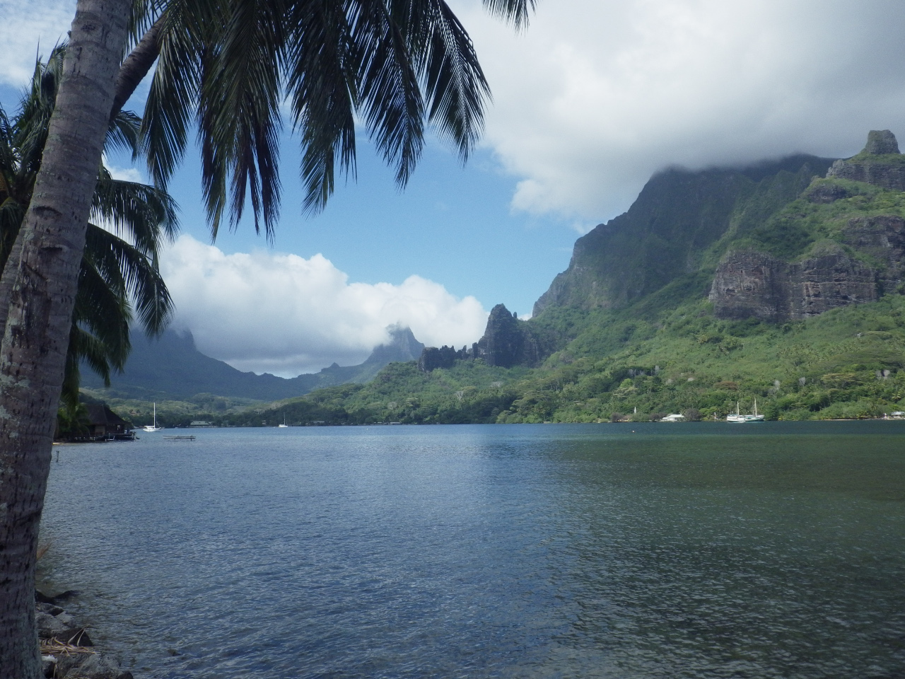 Moorea   Opunohu 1