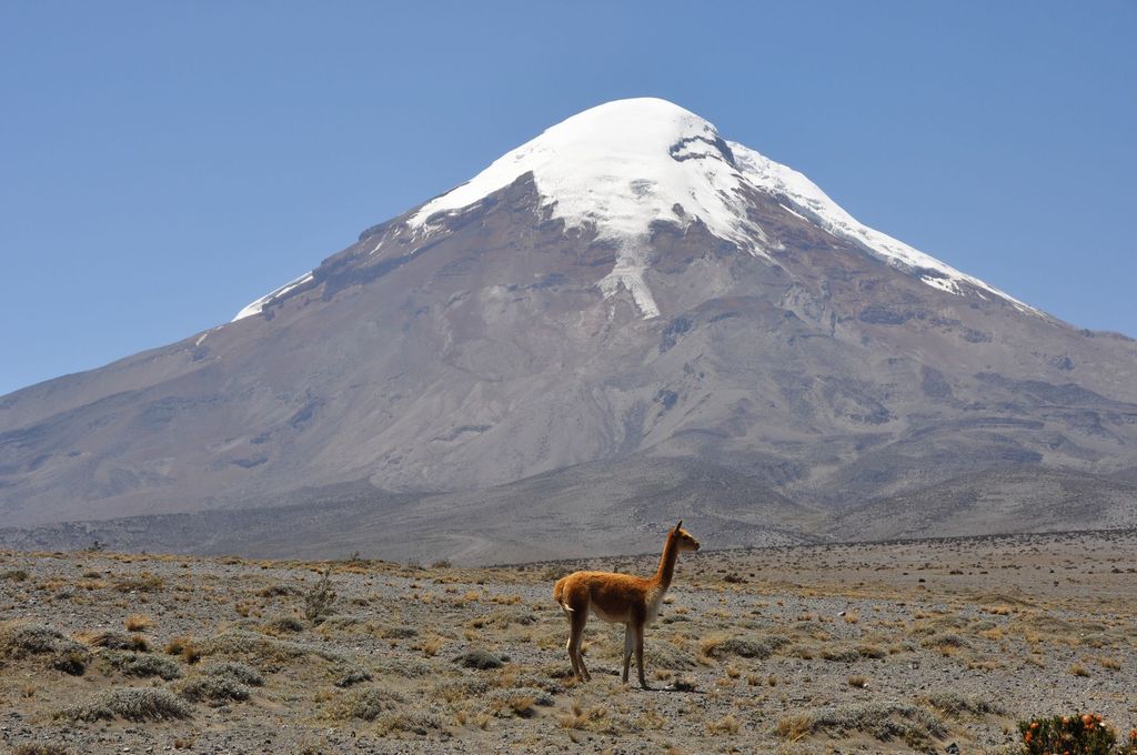 Chimborazo 1