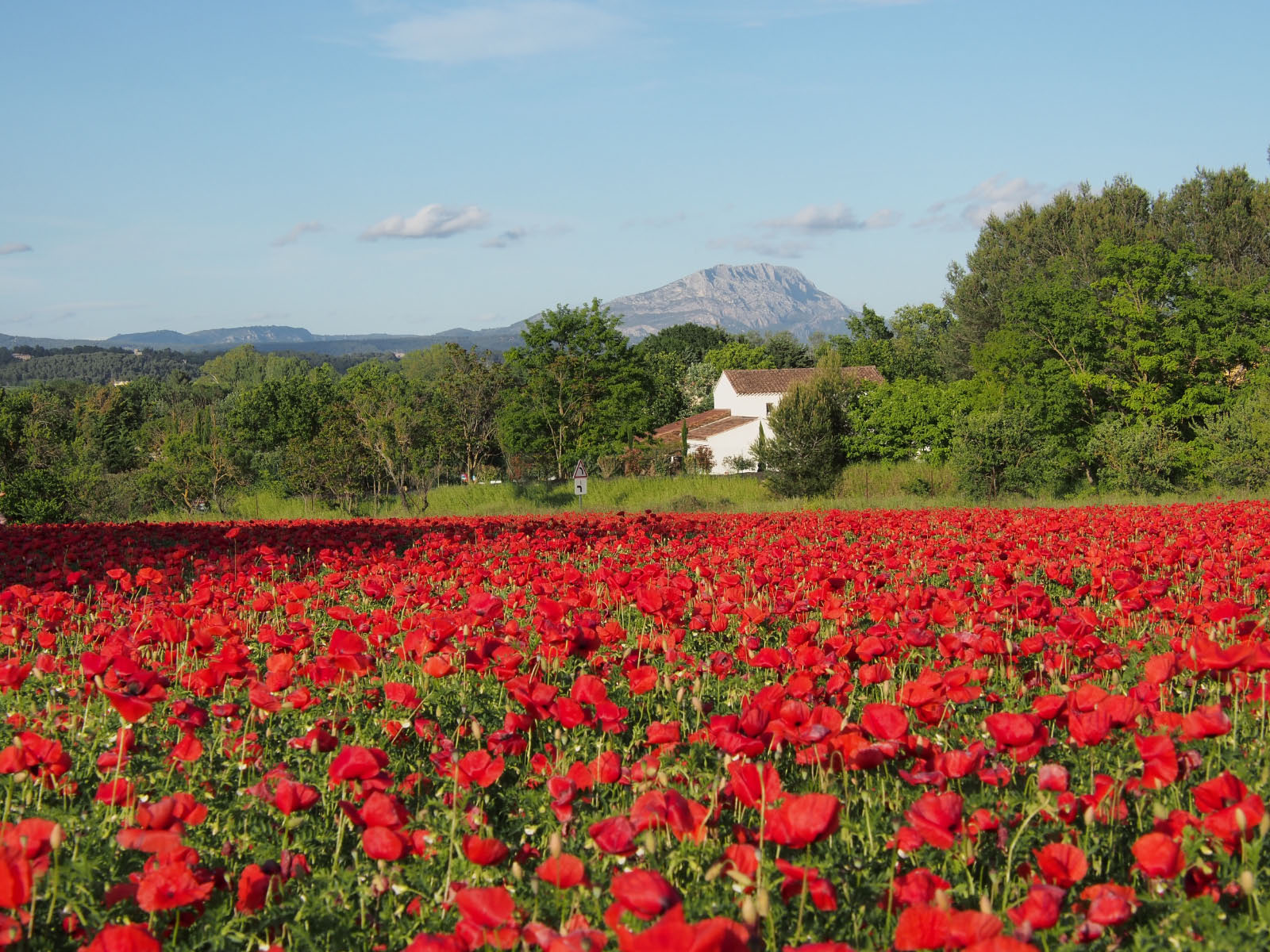 la sainte Victoire   